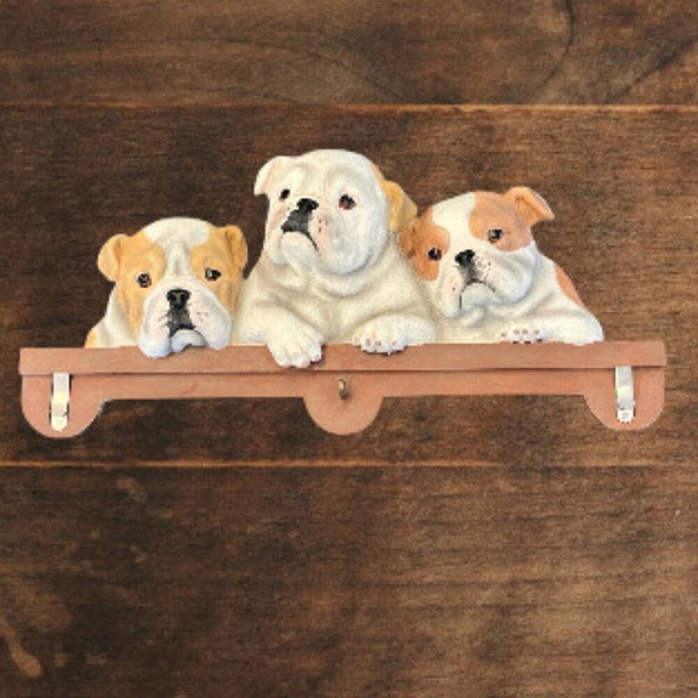 Dog Lover's Bull Dog Puppies 3D Wall Mount Mail & Keys Organizer - Picture 2 of 9